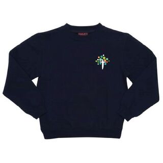 WORKWEAR, SAFETY & CORPORATE CLOTHING SPECIALISTS - Pittsworth Kindergarten - Kids Crew Neck